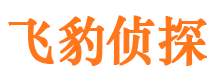 渝中市侦探公司